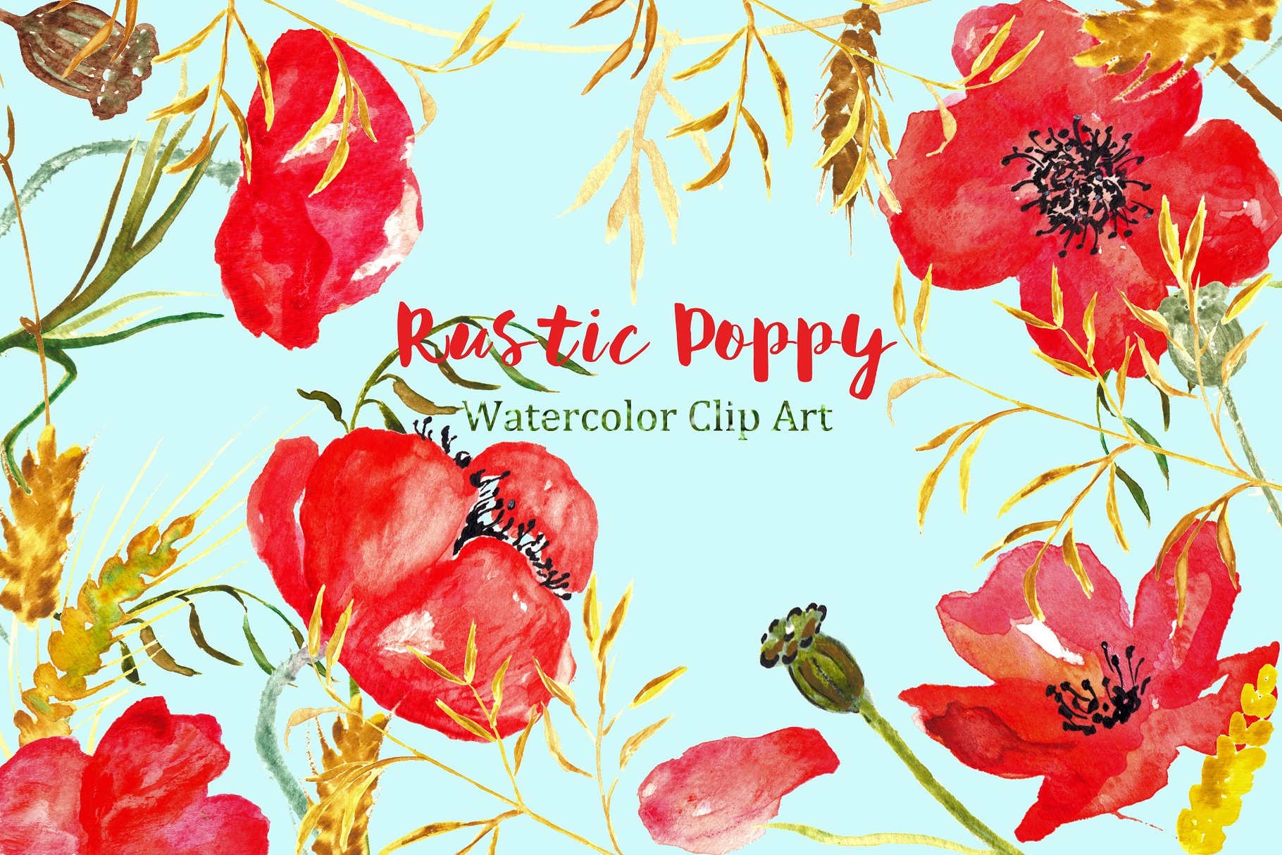 夏季乡村浪漫罂粟剪贴画 Ructic Poppy watercolor Clipart