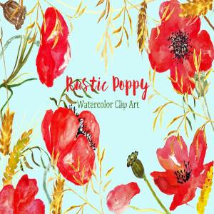 夏季乡村浪漫罂粟剪贴画 Ructic Poppy watercolor Clipart