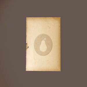 复古老式残纸样机模板