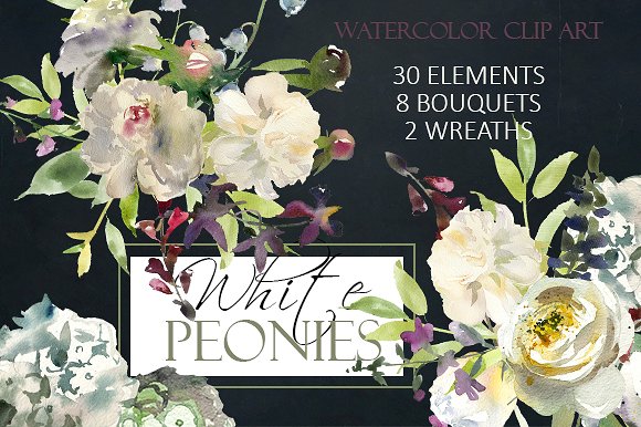 白色水彩花卉剪贴画 Watercolor White Flowers Clipart