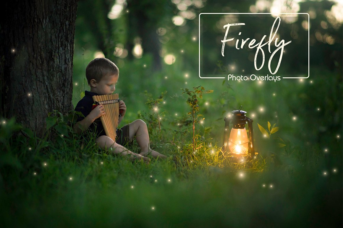 4K高清分辨率神奇萤火虫Photoshop叠层