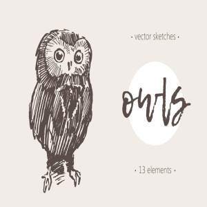猫头鹰素描剪贴画 Sketches of owls