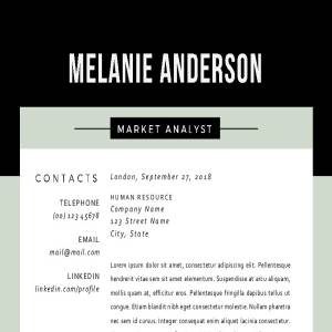 经典实用三合一简历模板 3 in 1 modern 2 pages resume pack