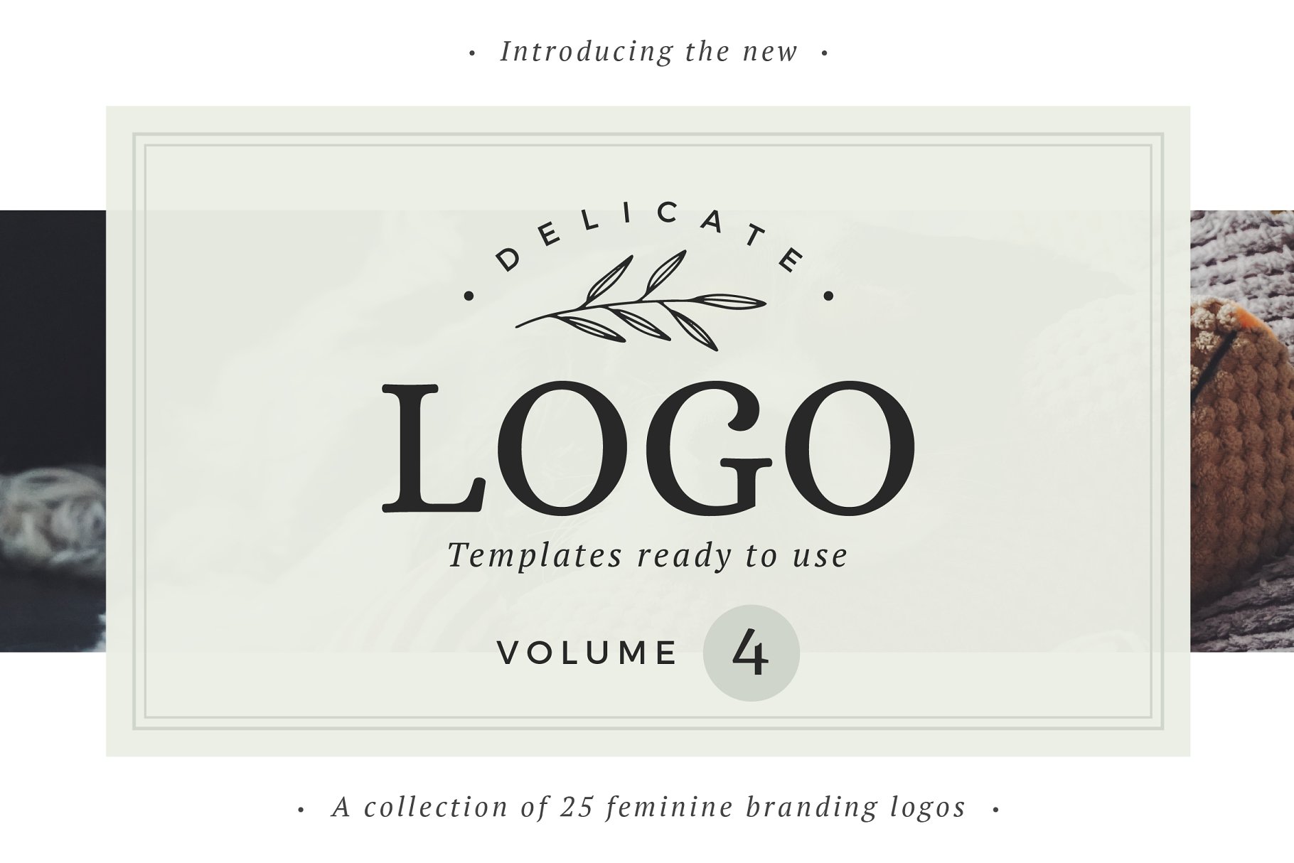 即拿即用优雅风格英文Logo设计模板 Delicate Logos – Volume 04