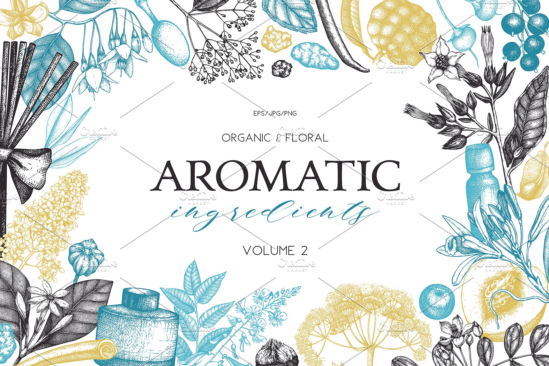 香料和化妆品成分水墨手绘插图集V.2 Perfumery & Cosmetic Ingredients v.2