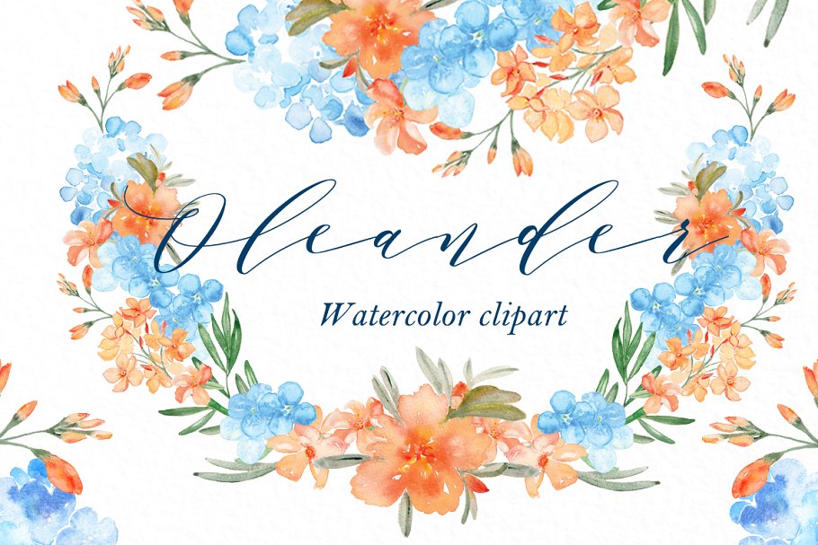 水彩夹竹桃花卉剪贴板 Peach Oleander. watercolor