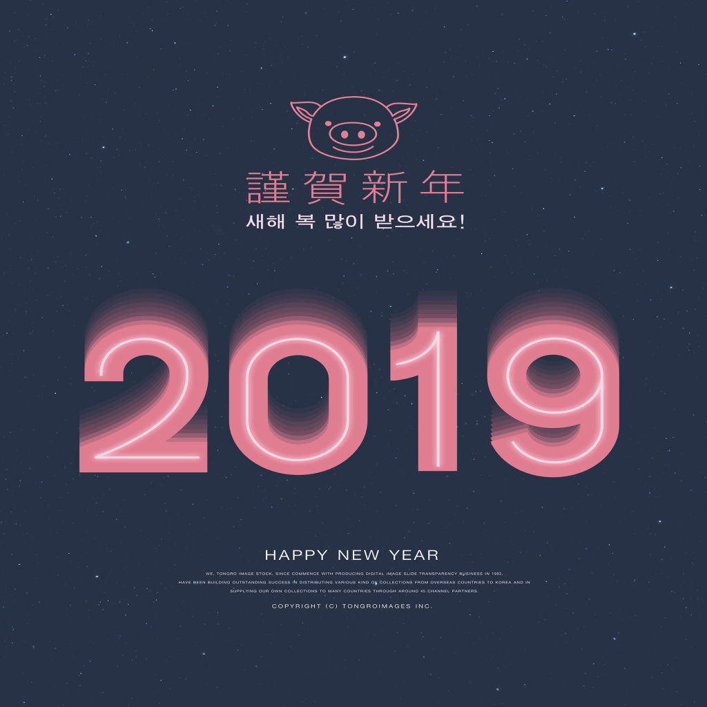 2019猪年创意图形与数字海报模板合集 PSD