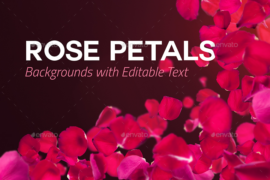 可编辑文本玫瑰花瓣背景素材 4 Rose Petals Backgrounds with Editable Text