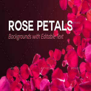 可编辑文本玫瑰花瓣背景素材 4 Rose Petals Backgrounds with Editable Text