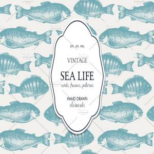 海洋生活矢量图形素材 Vector Sea Life Illustrations Set