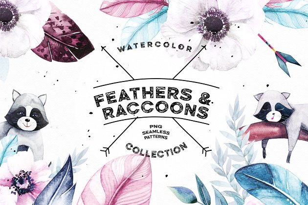 羽毛和浣熊水彩剪贴画 Watercolor Feathers & Raccoons