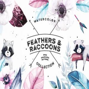 羽毛和浣熊水彩剪贴画 Watercolor Feathers & Raccoons