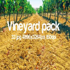 葡萄园主题高清照片合集 Vineyard photo bundle