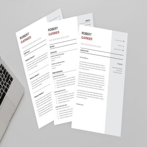 极简设计风格网站设计开发职位应聘简历设计模板 Robert Developer Resume Designer