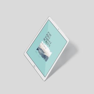 多角度iPad Pro屏幕演示样机PSD模板 Pad Pro Tablet Screen Mockup Set