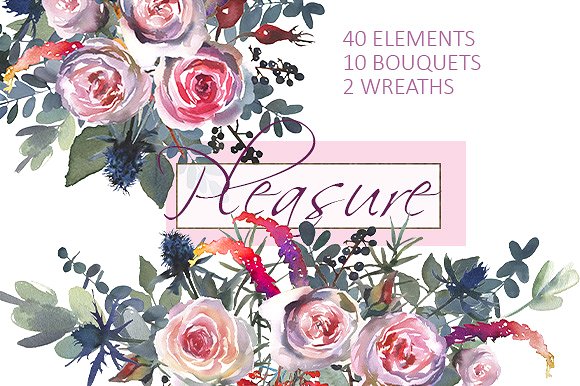 粉红玫瑰/蓝蓟水彩剪贴画 Pink Roses Blue Thistle Clipart