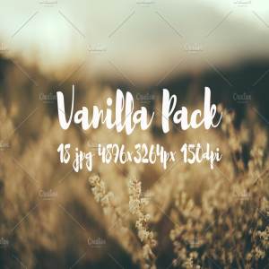 香草花卉近照高清照片素材 Vanilla photo Pack