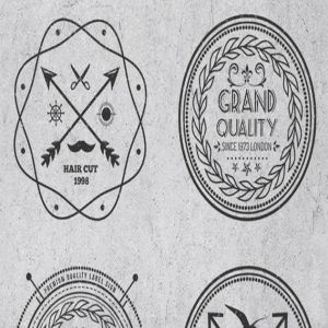 复古风格矢量徽章&Logo模板 Vintage Style Badges and Logos插图3