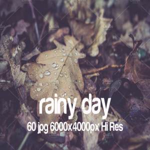 高清下雨天景色照片 Rainy day photo pack