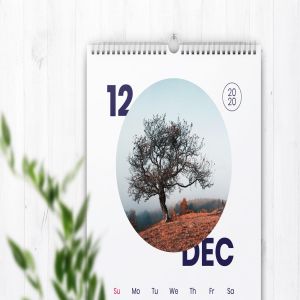 2020年风景日历年历设计模板 Calendar插图2