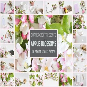 盛开的苹果花主题照片合集 Apple Blossom Styled Stock Photo Bundle