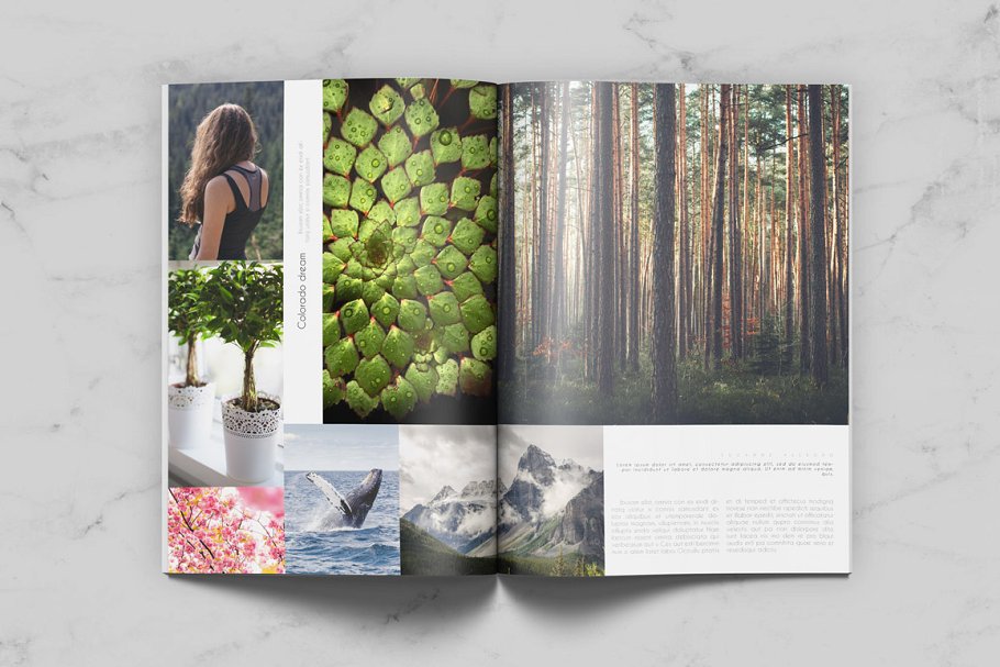 通用杂志模板 Minimal Universal Magazine