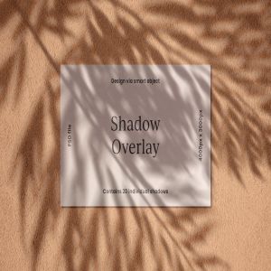 逼真植物阴影背景样机合集 Realistic Shadow Mock-Up Collection插图1