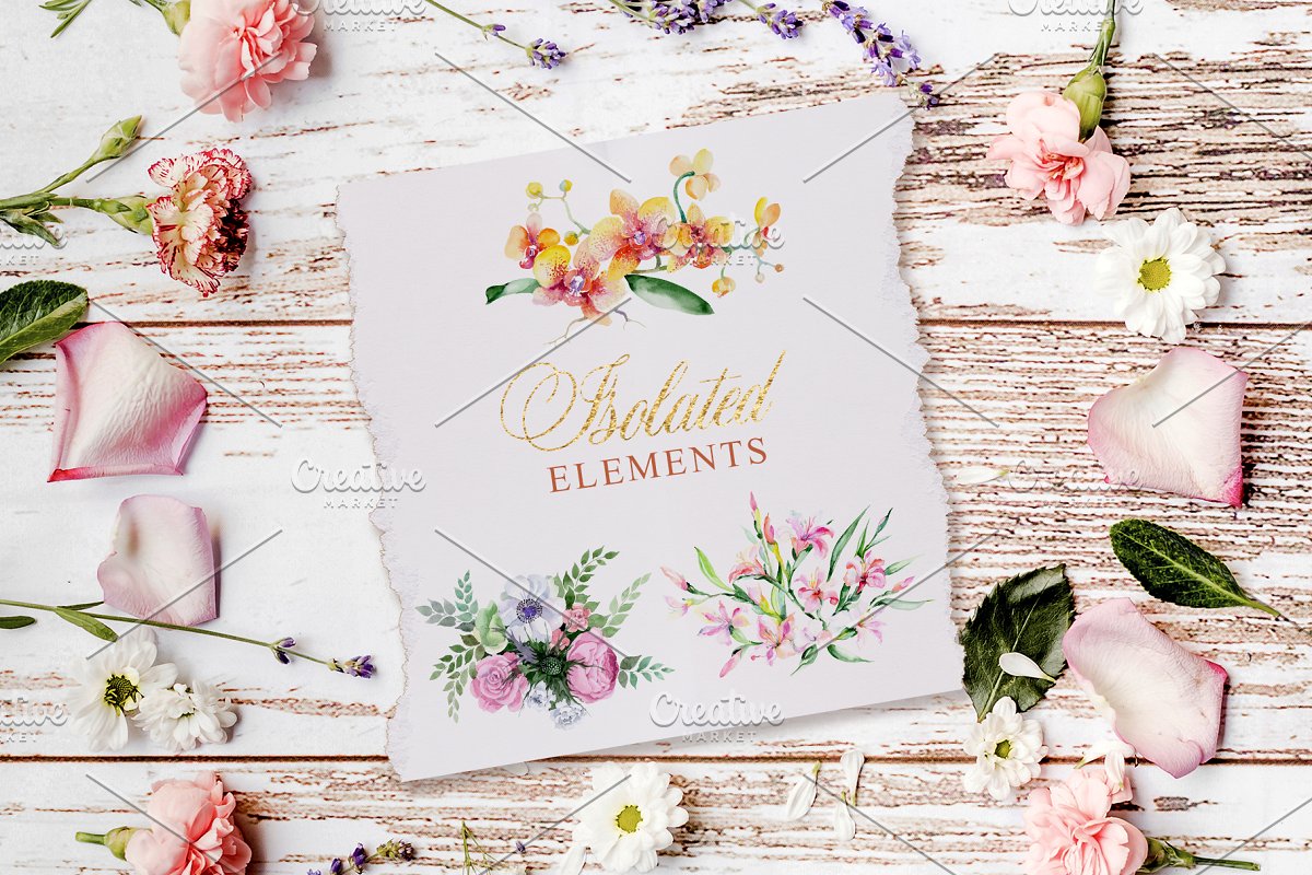 华丽的花束水彩PNG剪贴画套装