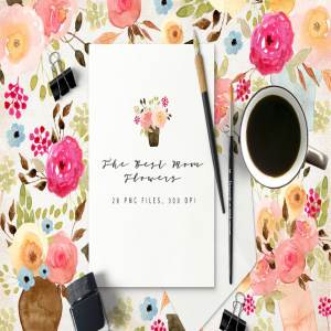 优雅水彩康乃馨手绘插画 The Best Mom Flowers