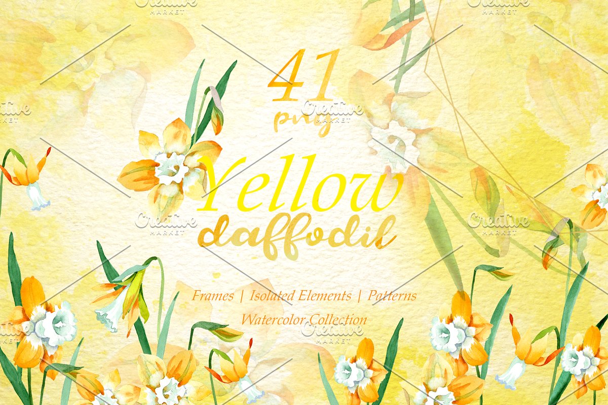 多用途黄色水仙花水彩剪贴画