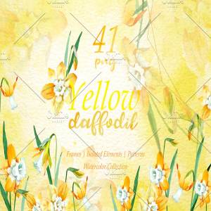 多用途黄色水仙花水彩剪贴画