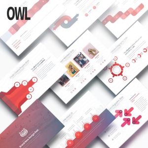 多用途渐变配色企业主题PPT幻灯片模板 Owl – Multipurpose PowerPoint Presentation