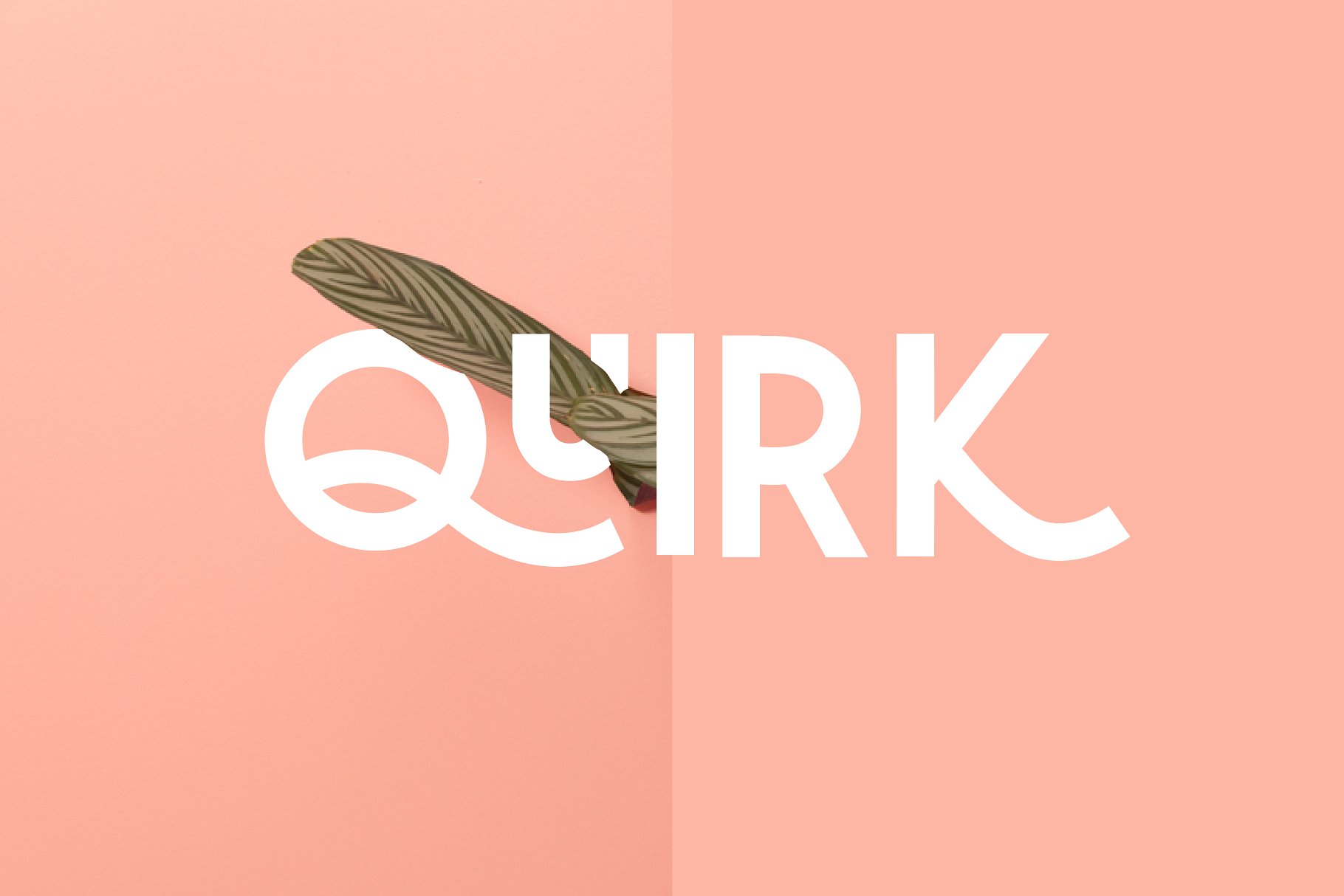 大胆堆叠无衬线英文字体 Quirk – Fun Display Font