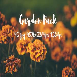 花园植物花卉高清照片合集 Garden photo Pack