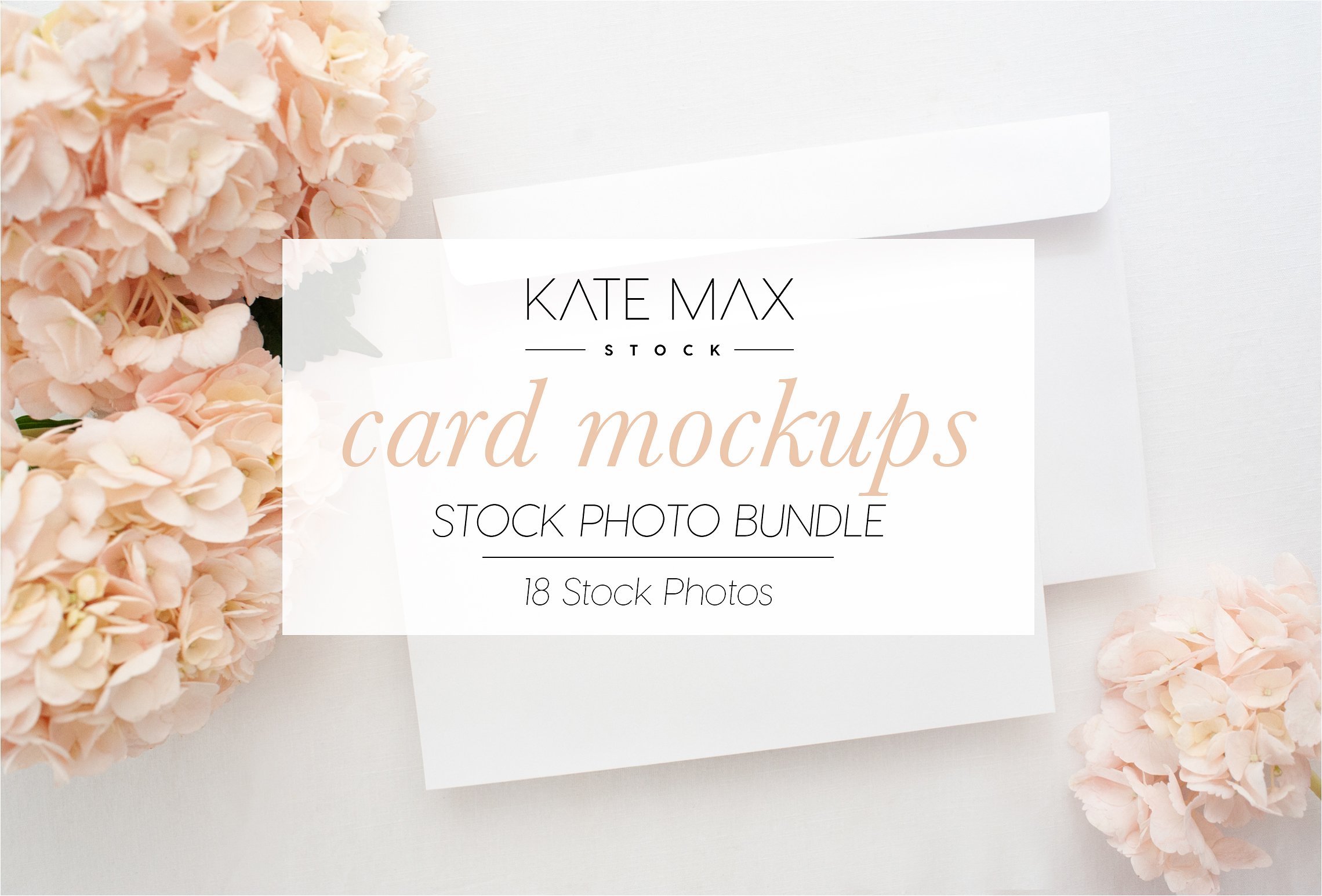 华丽的粉红绣球花便签卡片样机模板 Blush Card Mockups Bundle