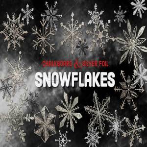 手绘粉笔画&银箔雪花图案纹理笔刷 Vector Chalk & Foil Snowflakes