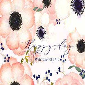 柔和粉彩矢量手绘海葵插画 Anemones Apricot. Watercolor flowers