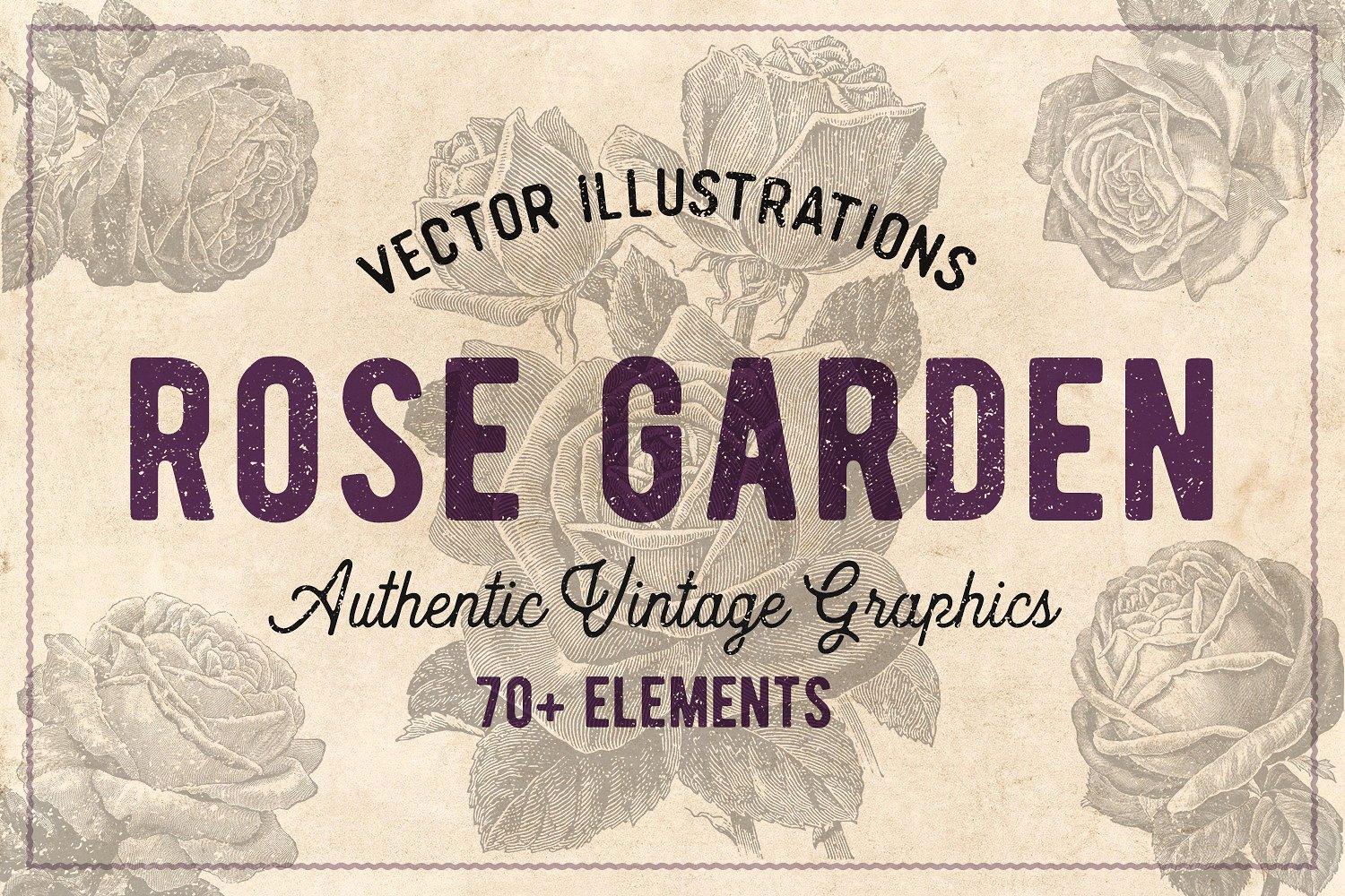 70款手绘怀旧风格的玫瑰花矢量素材下载[eps,png]