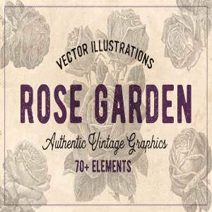 70款手绘怀旧风格的玫瑰花矢量素材下载[eps,png]