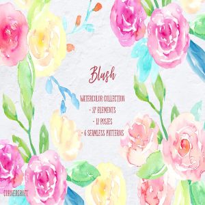 腮红水彩花卉插画合集 Watercolor Collection Blush