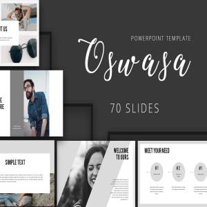 一套适合公司文化和个人履历的ppt模板下载[pptx]