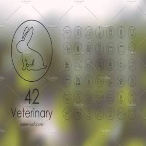 42个通用宠物医院图标  42 veterinary icons