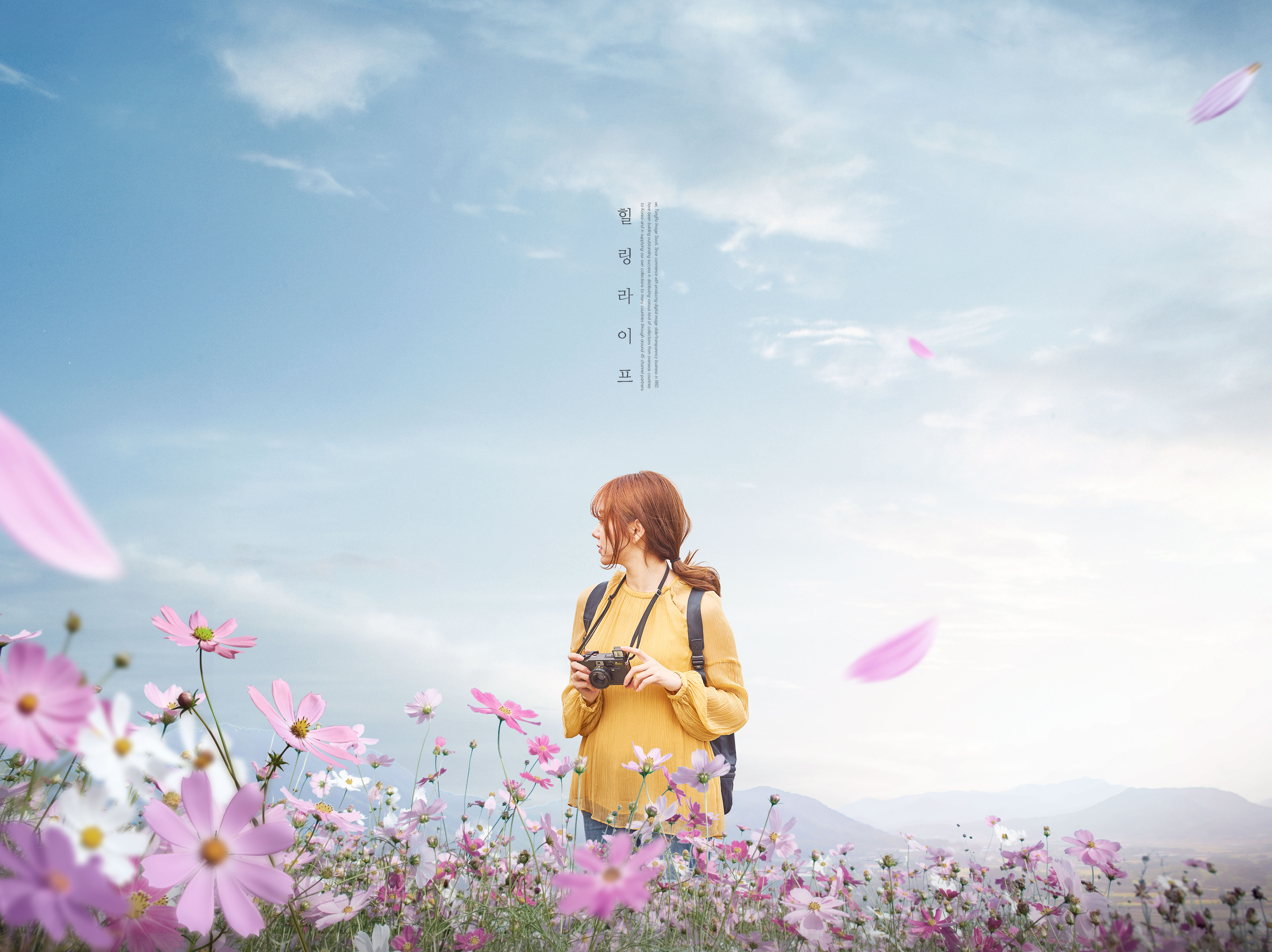 假期旅行花海美景海报图片psd素材