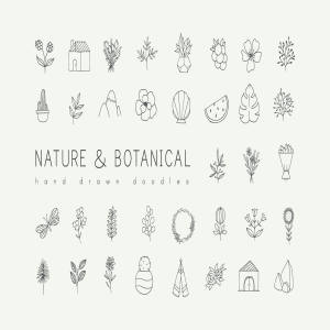 自然与植物手绘涂鸦矢量图形设计素材 Nature and Botanical Hand Drawn Doodles插图1