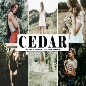 户外摄影图片暖调色滤镜LR预设下载 Cedar Mobile & Desktop Lightroom Presets