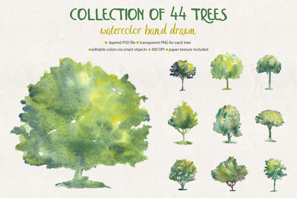 44款水彩手绘树木艺术插画 Collection of 44 Watercolor Trees