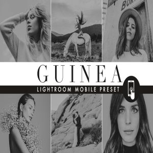 黑白色调照片效果处理LR预设 Rich Black Lightroom Mobile preset