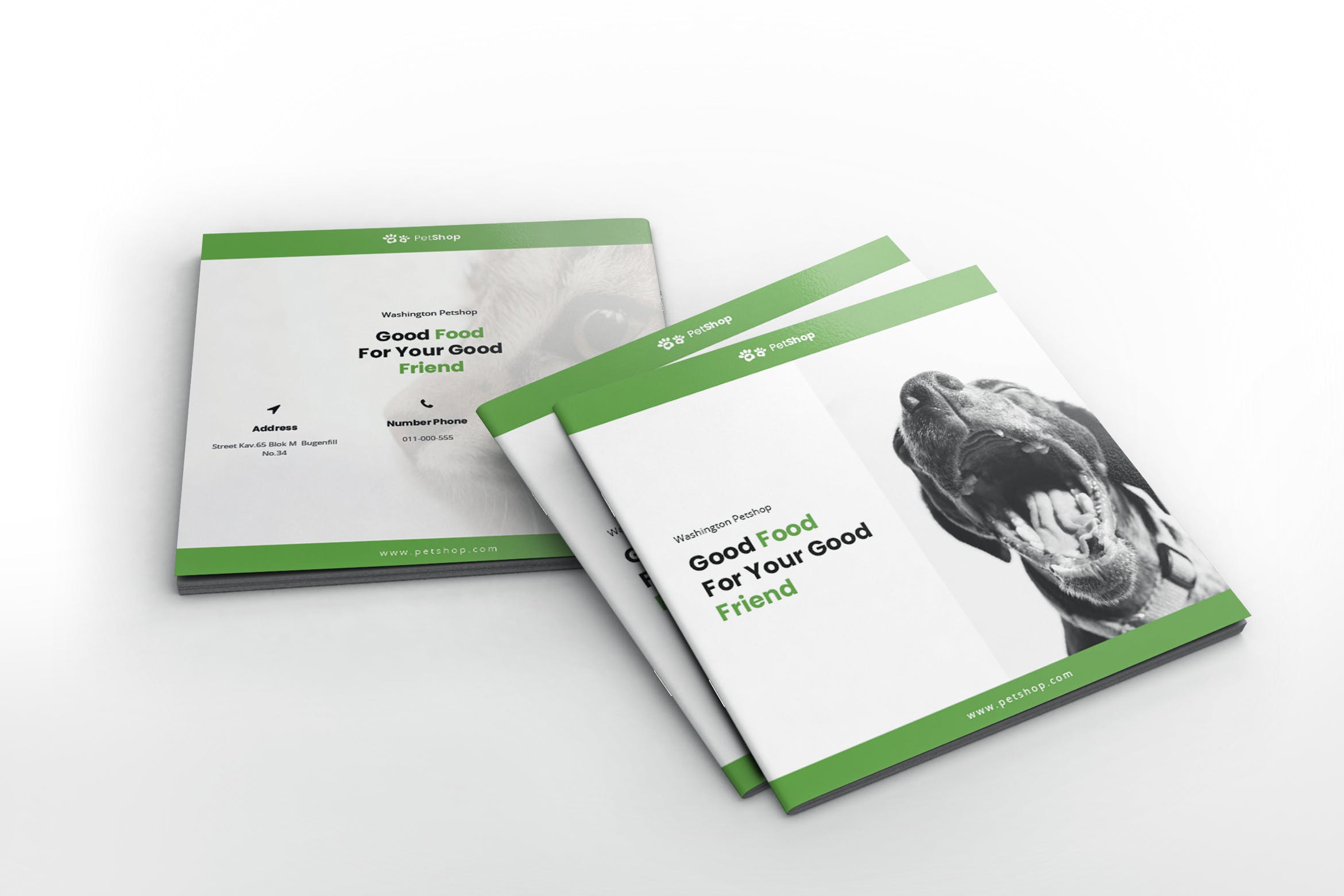 宠物店/宠物医院方形宣传册设计模板 Pet Shop Square Brochure Template