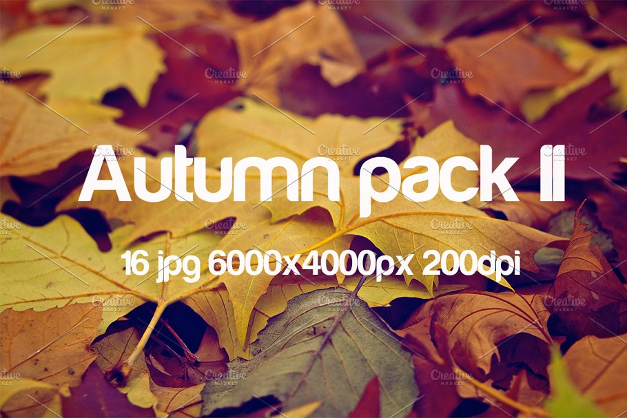 秋天主题高清照片素材包 Autumn photo pack II