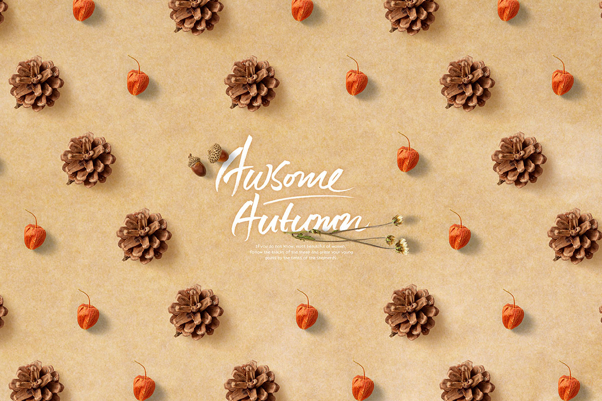 松果&灯笼果海报背景图片psd素材